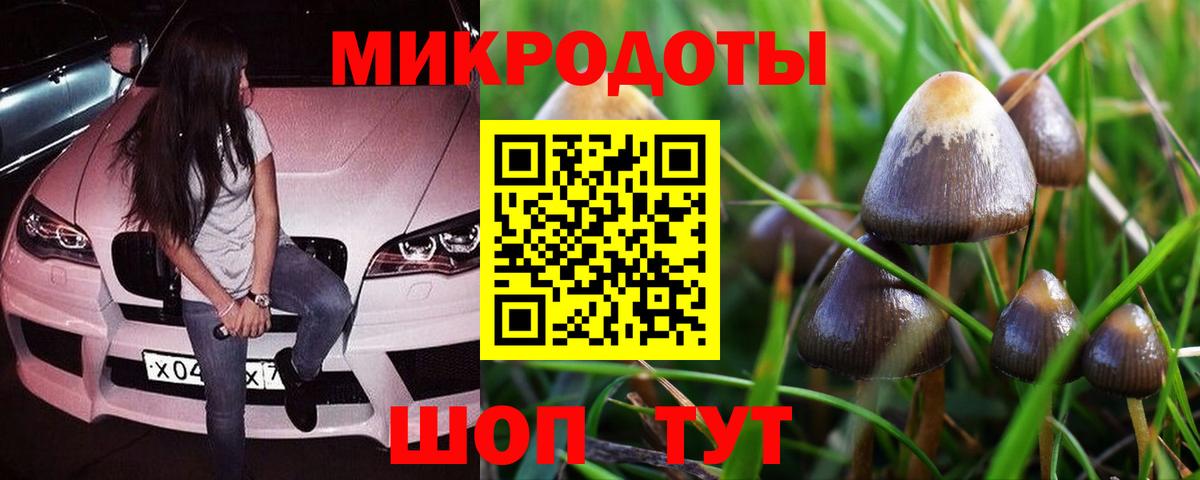 Псилоцибиновые грибы GOLDEN TEACHER  Вход с VPN  Беслан  Галлюциногенные грибы Psilocybine cubensis 